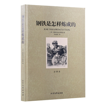 读《钢铁是怎样炼成的》有感800字范文