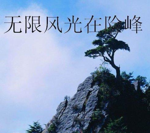 无限风光在险峰.jpg