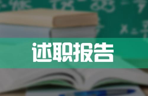 2017个人述职报告范文